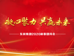 東辰集團2020新春團拜會網絡直播