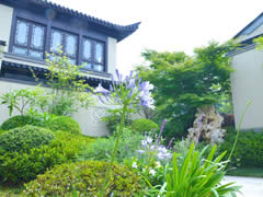 在春天的院子里，享受詩和遠(yuǎn)方