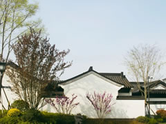 落雨煙花江南，邂逅仙海院子