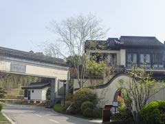 花開花落，不言不語，卻寫盡四季